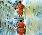 vivek memes, memes, plain memes, vivek plain meme, tamil memes - Arumugam climbing up and down stairs