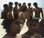 parava memes, memes, plain memes, parava movie meme, parava movie plain meme, parava movie Malayalam memes - Otta pravashyam cheytha mathi, pinne kittkkolum