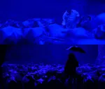 anniyan memes, memes, plain memes, anniyan movie meme, anniyan movie plain meme, anniyan movie tamil memes - Anniyan looking at the car owner