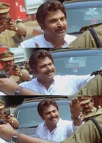 the tiger memes, memes, plain memes, the tiger movie meme, the tiger movie plain meme, the tiger movie malayalam memes - I am unassilable